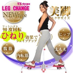 ���ӥޥ��� ��å������󥸡�TZ-type �١�����֥饦��