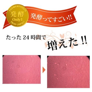【ORifER】オリファ発酵美養液 お試しセット(2ml×6本)