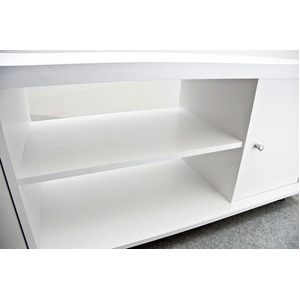 扉付き収納テレビ台/テレビボード 【幅120cm】 可動棚付き ホワイト(白)