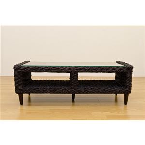テレビ台/テレビボード(ABACA) 【幅120cm】 強化ガラス製 収納棚付き ブラウン