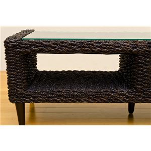 テレビ台/テレビボード(ABACA) 【幅120cm】 強化ガラス製 収納棚付き ブラウン