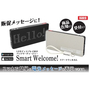 LEDディスプレイ付きバッテリーチャージャー