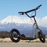 Buggycross（バギークロス） ルナメタル 2012MODEL