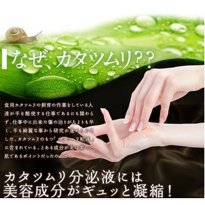 �J�^�c�����G�L�X�z���I�Ɩ��p�Y�_�K�X�p�b�N�y�G�X�J�V���� �X�p�[�N�����O�f���f���p�b�N�z