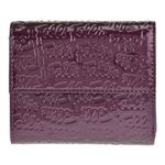 FOLLI FOLLIE �i�t�H���t�H���j WA0L027SV�^VIO �O�܂���z