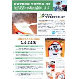 5年備蓄可能 アルファー米「越後育ちの春陽はんぶん米」 100g（できあがり260g）×10パック