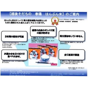 5年備蓄可能 アルファー米「越後育ちの春陽はんぶん米」 100g（できあがり260g）×10パック
