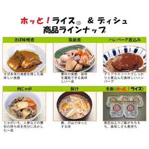 【保存期間5年】電気ガス不要!進化した災害非常食 こまったときのホッと!ライス&おかず【15食セット】発熱剤・加熱用水付