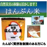 【5年備蓄可能】【防災食】 越後育ちの春陽　はんぶん米　100g（できあがり260g）×10パック