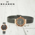 SKAGEN women's CLASSIC /NVbN