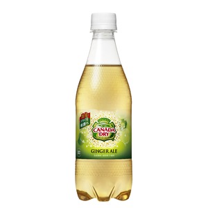 【まとめ買い】コカ・コーラ カナダドライ ジンジャーエール ペットボトル 500ml&times;48本（24本&times;2ケース）