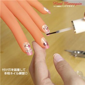 ネイルチップを取り付け可能 ネイル練習用ハンドマネキン 1点