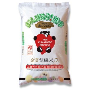 金賞健康米熊本県産もりのくまさん5kg