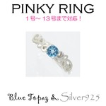 Silver925 シルバー ピンキーリング ブルートパーズ 11月誕生石/7号の詳細ページへ