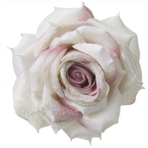 ベルベットローズ（L） CRP