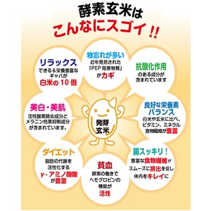 CUCKOO New圧力名人DX (超高圧発芽酵素玄米炊飯器)