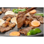 大阪天満のめっちゃ旨いタレ漬け焼肉3キロセット