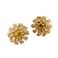 KATE SPADEiPCgXy[hj WBRUB909-915 Clear Multi Crystal Bouquet Studs rW[~t[ X^bh sAX
