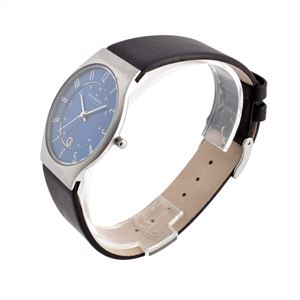 SKAGEN（スカーゲン） 233XXLSLN メンズ 腕時計