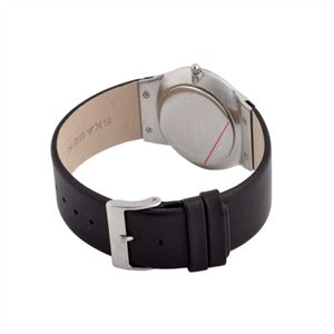 SKAGEN（スカーゲン） 233XXLSLN メンズ 腕時計