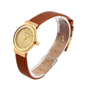 SKAGEN（スカーゲン） SKW2175 レディース 腕時計