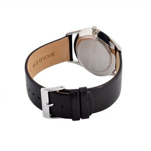SKAGEN（スカーゲン） SKW6220 メンズ 腕時計