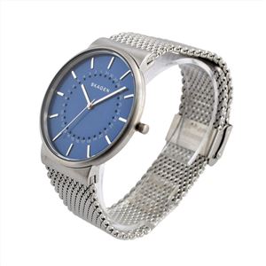 SKAGEN（スカーゲン） SKW6234 メンズ 腕時計