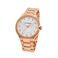 SwarovskiiXtXL[j 5181642 City Rose Gold uXbg EIb` fB[X rv