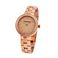SwarovskiiXtXL[j 5182231 Daytime ifC^Cj fB[X rv