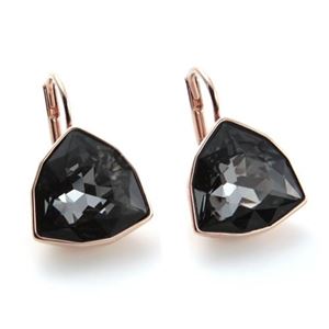 SWAROVSKI(�X�����t�X�L�[) Brief �g�����I���J�b�g �V���o�[�i�C�g�E�N���X�^�� �s�A�X 5098376