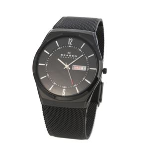 SKAGEN(�X�J�[�Q��) SKW6006 �����Y �r���v ���b�V���X�g���b�v