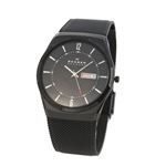 SKAGEN(XJ[Q) SKW6006 Y rv bVXgbv