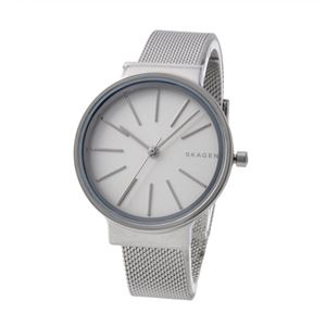 SKAGEN (�X�J�[�Q��) SKW2478 ���f�B�[�X �r���v