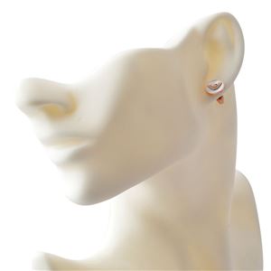 EMPORIO ARMANI （エンポリオアルマーニ） EGS2311221 イーグルロゴ スタッド ピアス IP RG／PP Stones／MOP