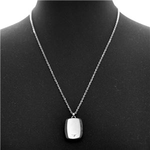 EMPORIO ARMANI (エンポリオアルマーニ) EGS2069040 イーグルロゴ メンズ ネックレス/ペンダント