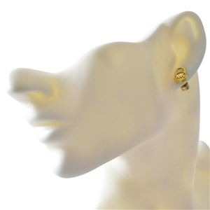 MICHAEL KORS （マイケルコース） MKJ6810710 Hamilton MKロゴ パドロック スタッド ピアス