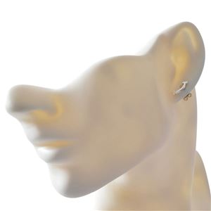 TIFFANY&CO (ティファニー) 36667214 Tiffany T スマイル ピアス (SS)
