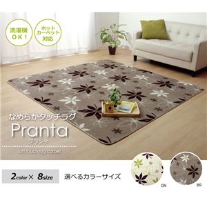 ラグマット カーペット 4畳 洗える 抗菌 防臭 無地 『WSプランタ』 グリーン 約200&times;300cm (ホットカーペット対応)