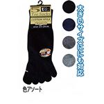 紳士綿混丈長5本指Wサポートスニーカー大寸46201 【10個セット】 45-462の詳細ページへ