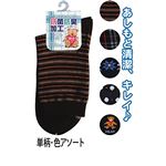 婦人抗菌防臭綿混ソックス単柄色アソート7202021 【10個セット】 45-847の詳細ページへ