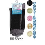 婦人接触冷感綿混ソックス単柄色アソート7202121 【10個セット】 45-848の詳細ページへ