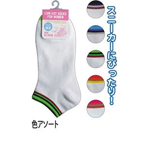 婦人綿混無地スニーカー白口ゴム部色アソート7203361 【10個セット】 45-851