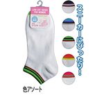 婦人綿混無地スニーカー白口ゴム部色アソート7203361 【10個セット】 45-851の詳細ページへ