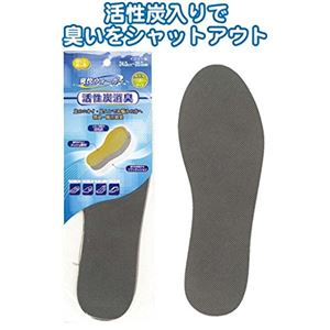 活性炭消臭！ソフトクッションメッシュインソール男性用 【12個セット】 40-643