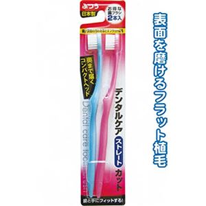 デンタルケアストレートカット（ふつう・2本入）日本製 【12個セット】 41-097