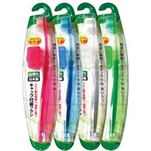 キャップ付歯ブラシ山切りカット（かため）日本製 【12個セット】 41-210