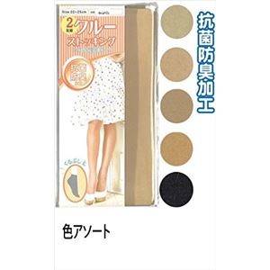 婦人 ナイロンソックス2足組94601093 47-204【20個セット】