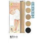婦人 ナイロンソックス2足組94601093 47-204【20個セット】の詳細ページへ
