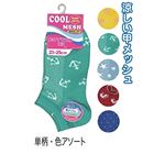 婦人 綿混柄メッシュスニーカーソックス単柄・色アソート31241 47-269【10個セット】の詳細ページへ