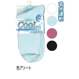 婦人 吸水速乾無地リブソックス8413151 47-210【10個セット】